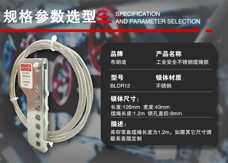 R12不銹鋼纜繩鎖詳情頁_07.jpg